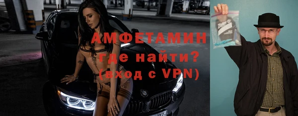 прущие грибы Горняк
