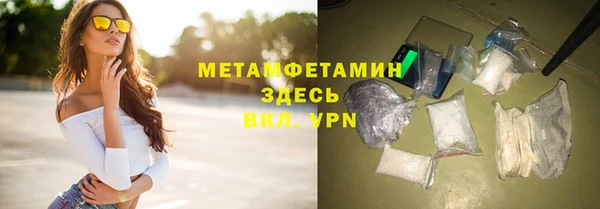 прущие грибы Горняк