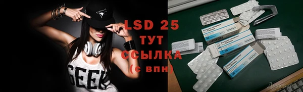 прущие грибы Горняк