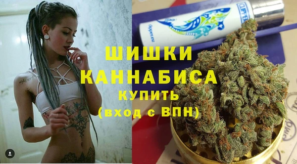 прущие грибы Горняк