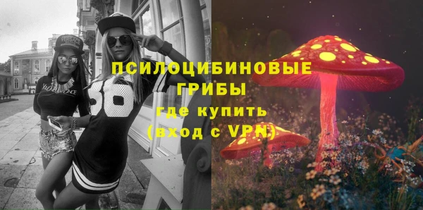 mdpv Горно-Алтайск