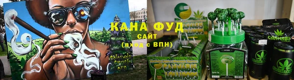 прущие грибы Горняк