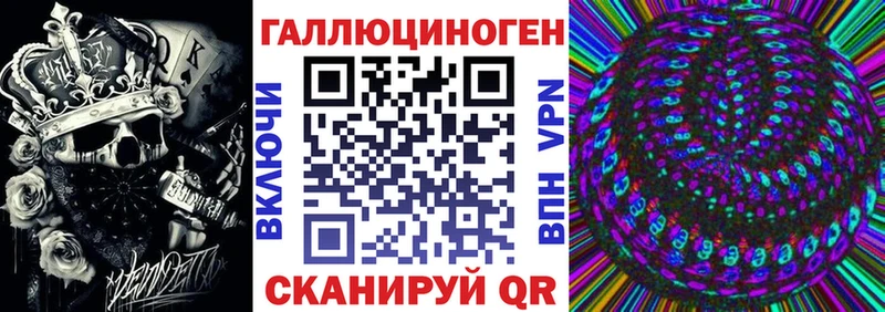 Псилоцибиновые грибы Psilocybe  Купить  Котельники 